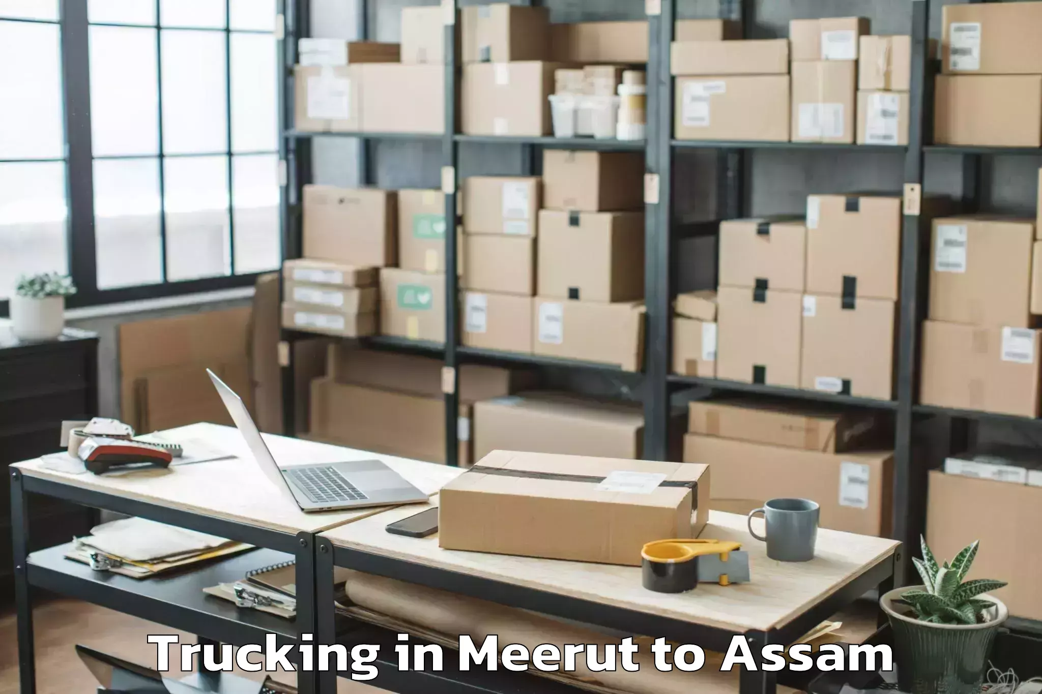 Leading Meerut to Dudhnoi Trucking Provider